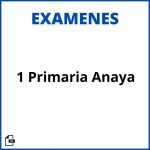 Evaluaciones 1 Primaria Anaya Resueltos Soluciones