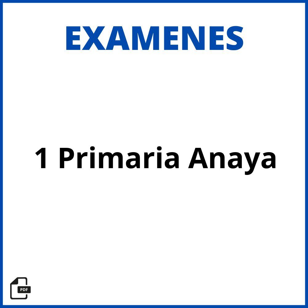 Evaluaciones 1 Primaria Anaya