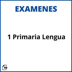 Examen 1 Primaria Lengua Resueltos Soluciones