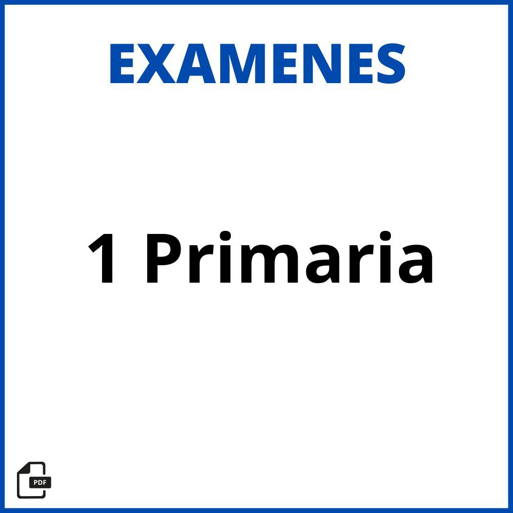 Examen 1 Primaria