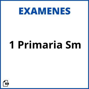 Exámenes 1 Primaria Sm Pdf Resueltos Soluciones