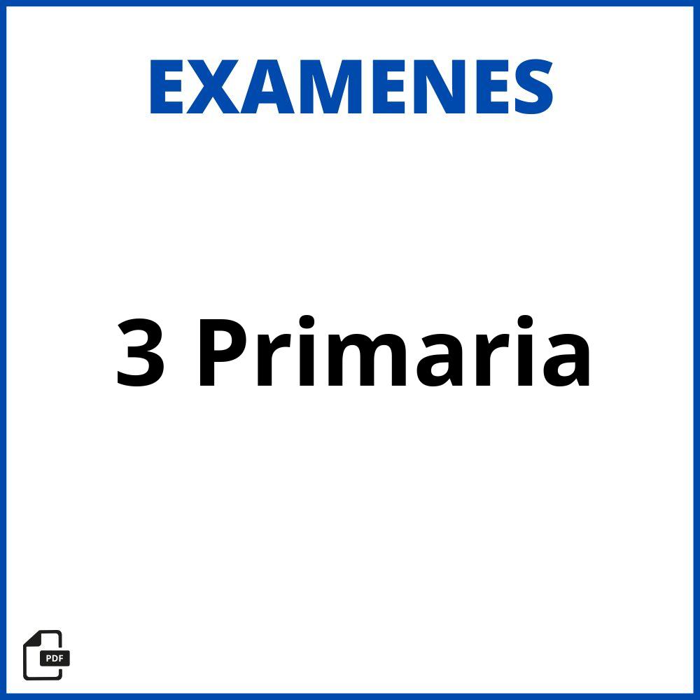 Examen 3 Primaria