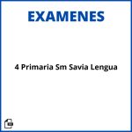 Examenes 4 Primaria Sm Savia Lengua Resueltos Soluciones