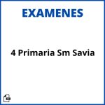 Examenes 4 Primaria Sm Savia Resueltos Soluciones