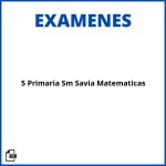 Examen Examenes 5 Primaria Sm Savia Matematicas Soluciones Resueltos