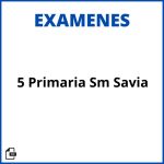 Evaluacion 5 Primaria Sm Savia Pdf Resueltos Soluciones