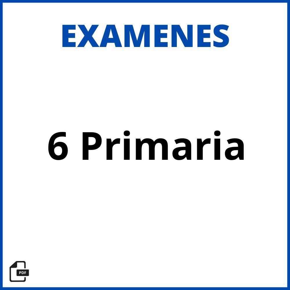 Examen 6 Primaria