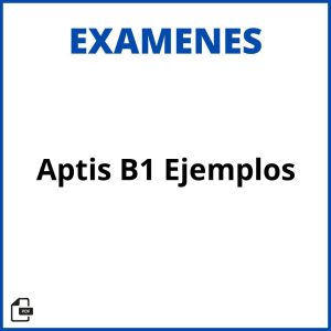 2024 Ejemplos Examen Aptis