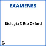Examen Biologia 3 Eso Oxford Resueltos Soluciones