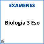 Examen Biologia 3 Eso Soluciones Resueltos