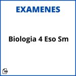 Exámenes Biología 4 Eso Resueltos Pdf Sm Resueltos Soluciones