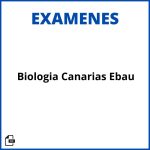 Examen Biologia Canarias Ebau Resueltos Soluciones