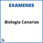 Examenes Biologia Canarias Resueltos Resueltos Soluciones