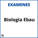 Examen Biologia Ebau Soluciones Resueltos