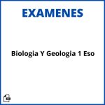 Biologia Y Geologia 1 Eso Examenes Resueltos Soluciones