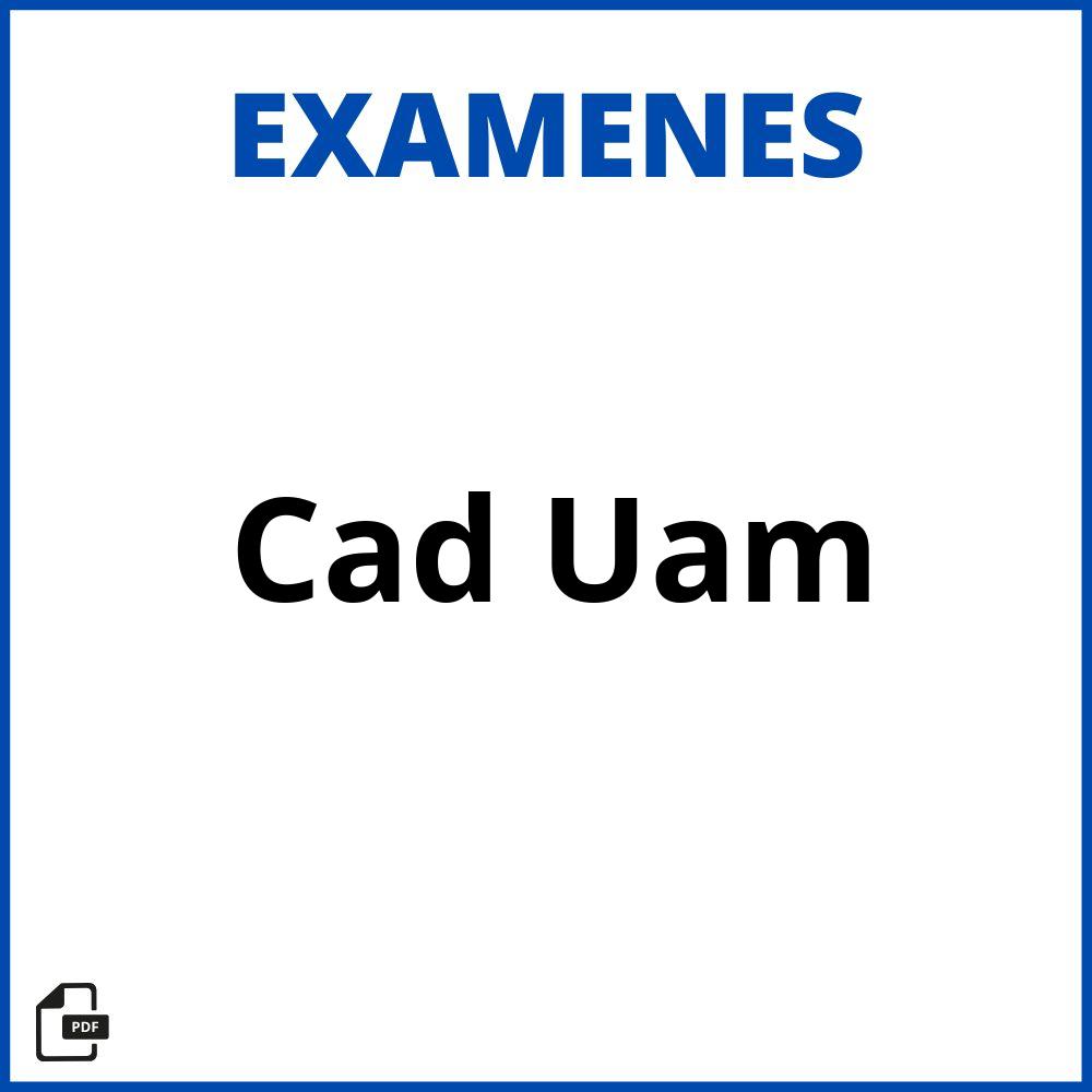 Examen Cad Uam