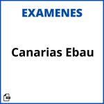 Examenes Canarias Ebau Soluciones Resueltos