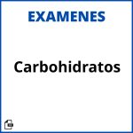 Examen De Carbohidratos Resueltos Soluciones
