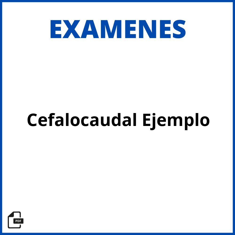 Examen Cefalocaudal Ejemplo