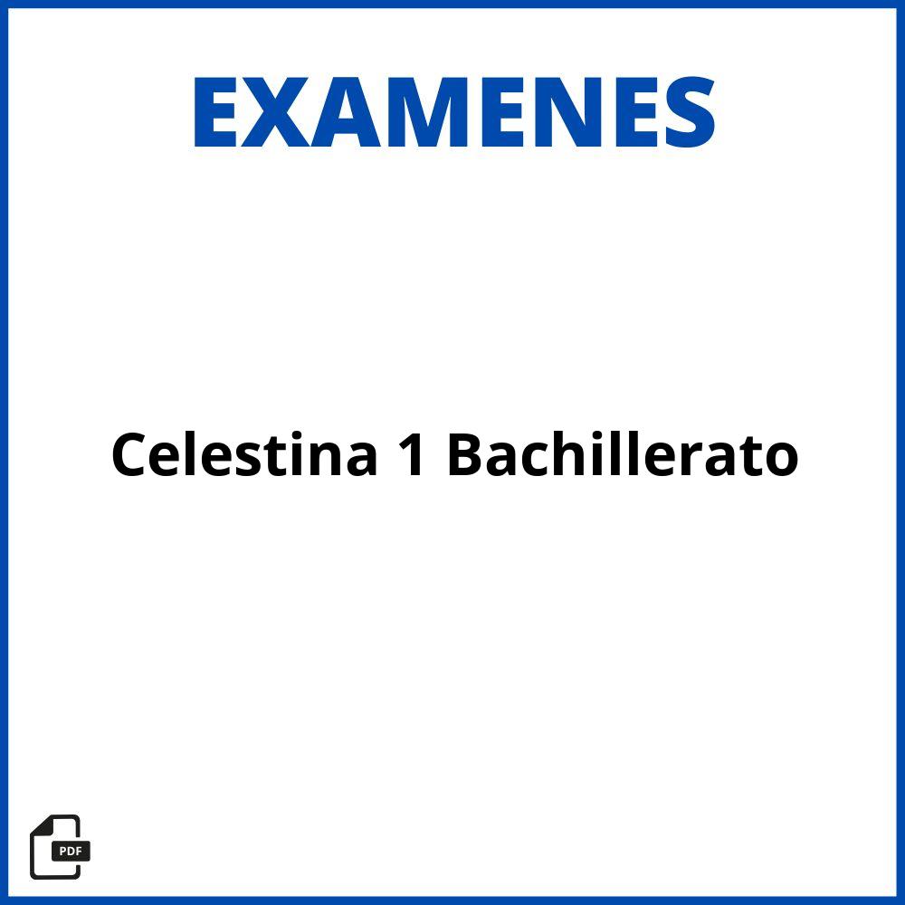 Examen Celestina 1 Bachillerato