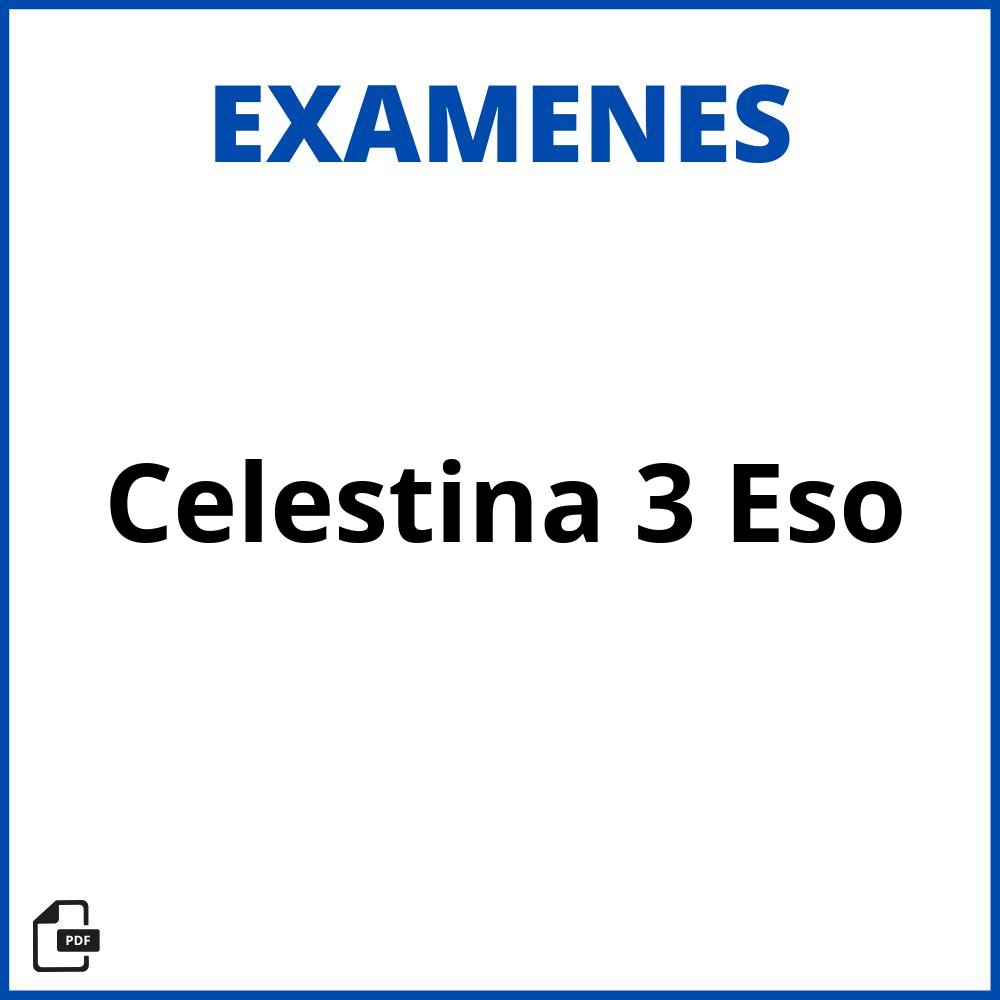 Examen Celestina 3 Eso