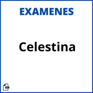 Examen Celestina Resueltos Soluciones