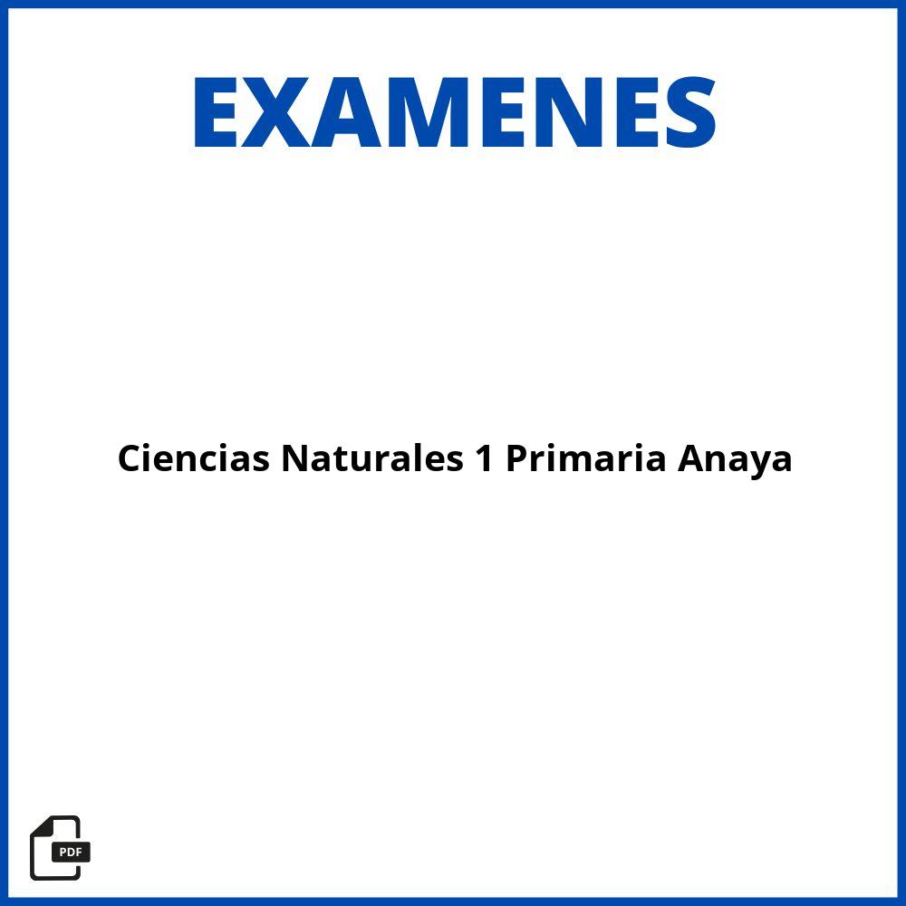 Evaluación Ciencias Naturales 1 Primaria Anaya Pdf