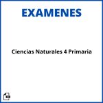 Evaluacion Ciencias Naturales 4 Primaria Soluciones Resueltos