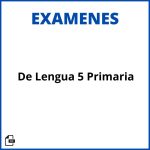 Evaluaciones De Lengua 5 Primaria Resueltos Soluciones