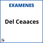 Examen Del Ceaaces 2023 Resueltos Soluciones