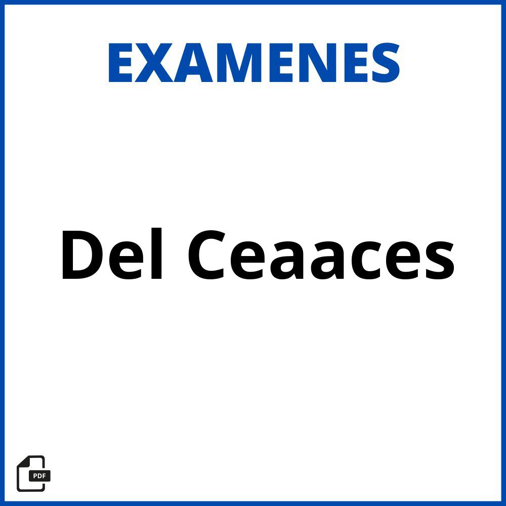 Examen Del Ceaaces 2023