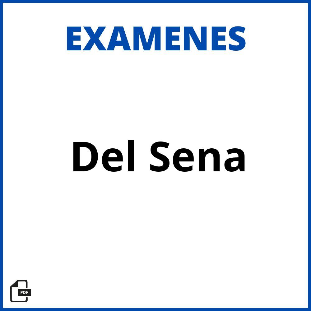 Examen Del Sena Resuelto 2023