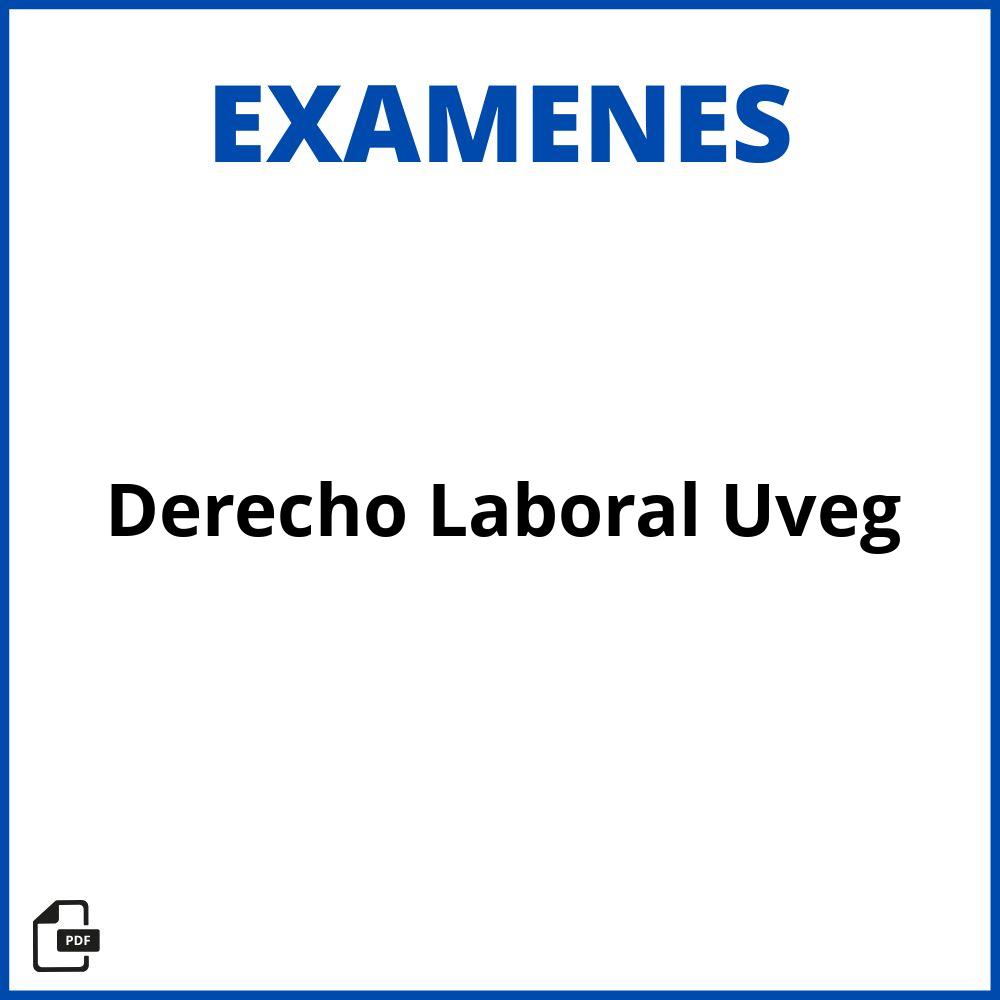 Examen Derecho Laboral Uveg