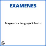 Evaluacion Diagnostica Lenguaje 3 Basico Resueltos Soluciones