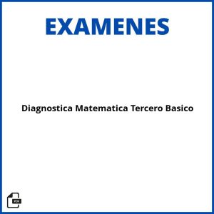 Evaluacion Diagnostica Matematica Tercero Basico Resueltos Soluciones