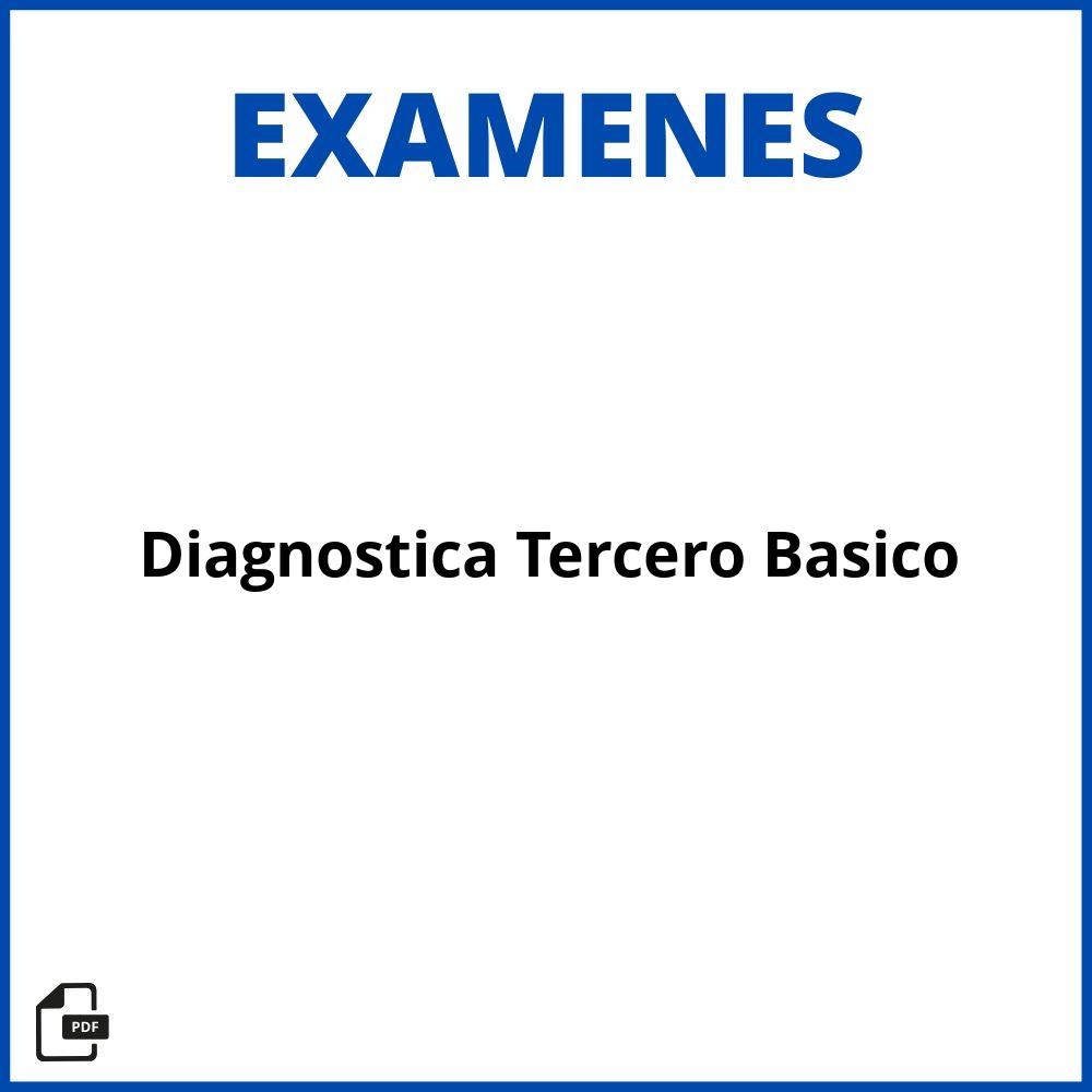 Evaluacion Diagnostica Tercero Basico