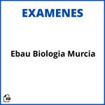 Examen Ebau Biologia Murcia Resueltos Soluciones
