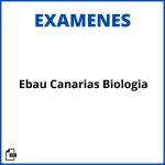 Examen Ebau Canarias Biologia Soluciones Resueltos