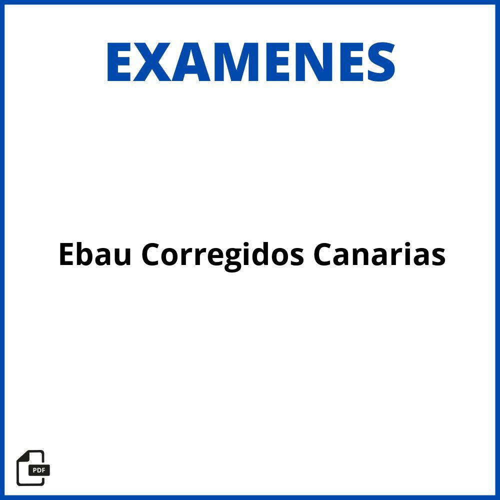 Examenes Ebau Corregidos Canarias