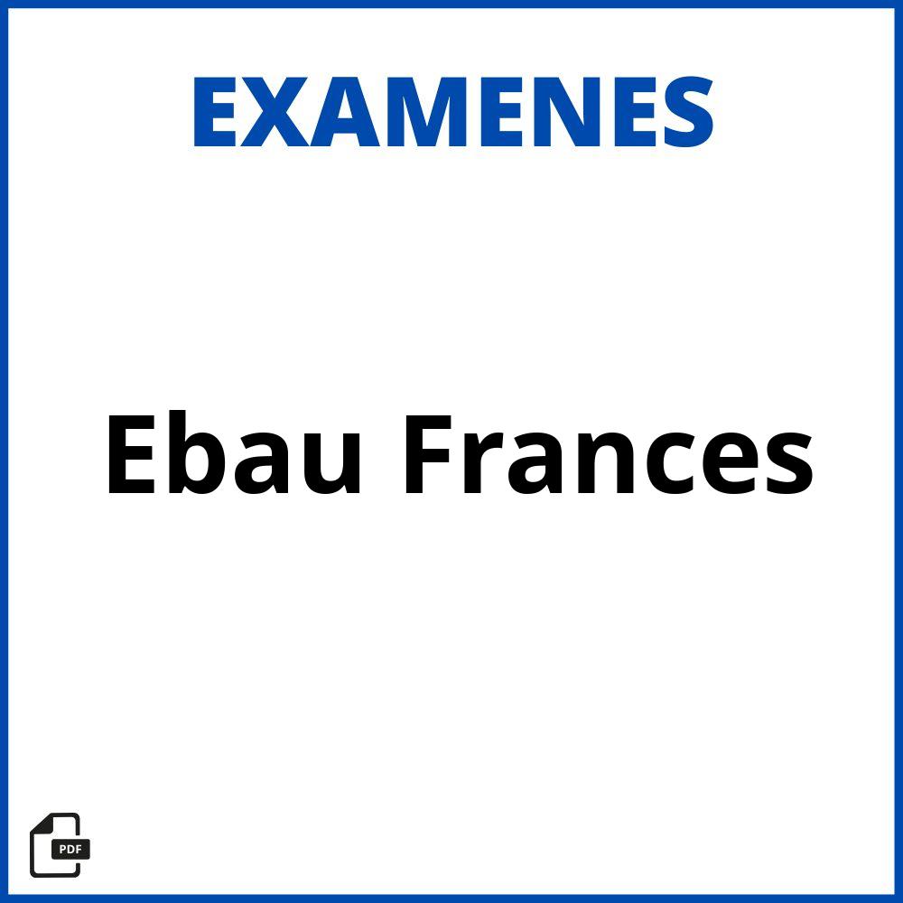 Examenes Ebau Frances