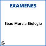 Examen Ebau Murcia Biologia Soluciones Resueltos