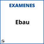 Examenes Ebau Resueltos Soluciones