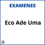 Examenes Eco Ade Uma Resueltos Soluciones