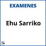 Examenes Ehu Sarriko Soluciones Resueltos