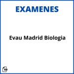 Examenes Evau Madrid Biologia Resueltos Resueltos Soluciones