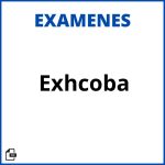 Examen Exhcoba Soluciones Resueltos