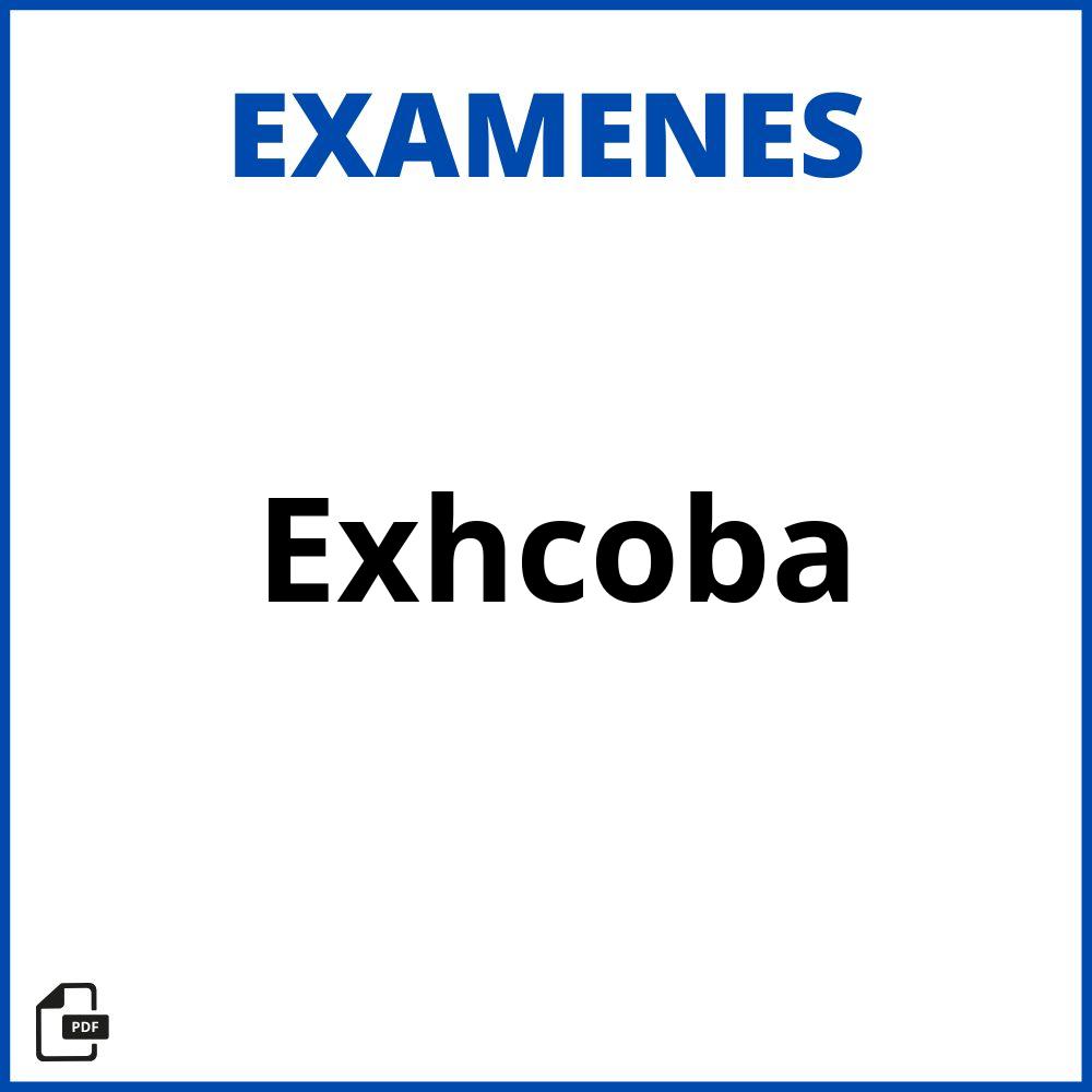 Examen Exhcoba