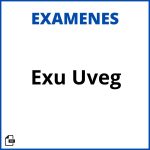 Examen Exu Uveg Soluciones Resueltos