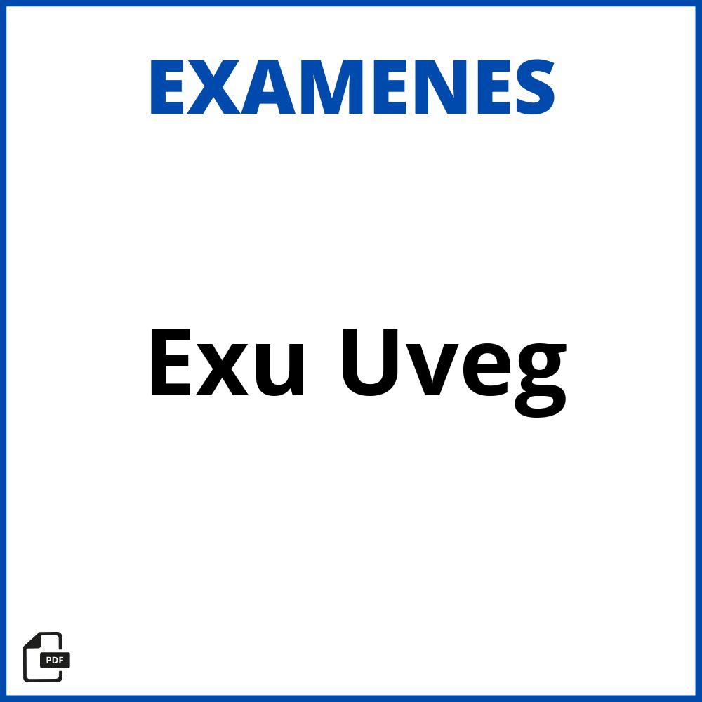 Examen Exu Uveg