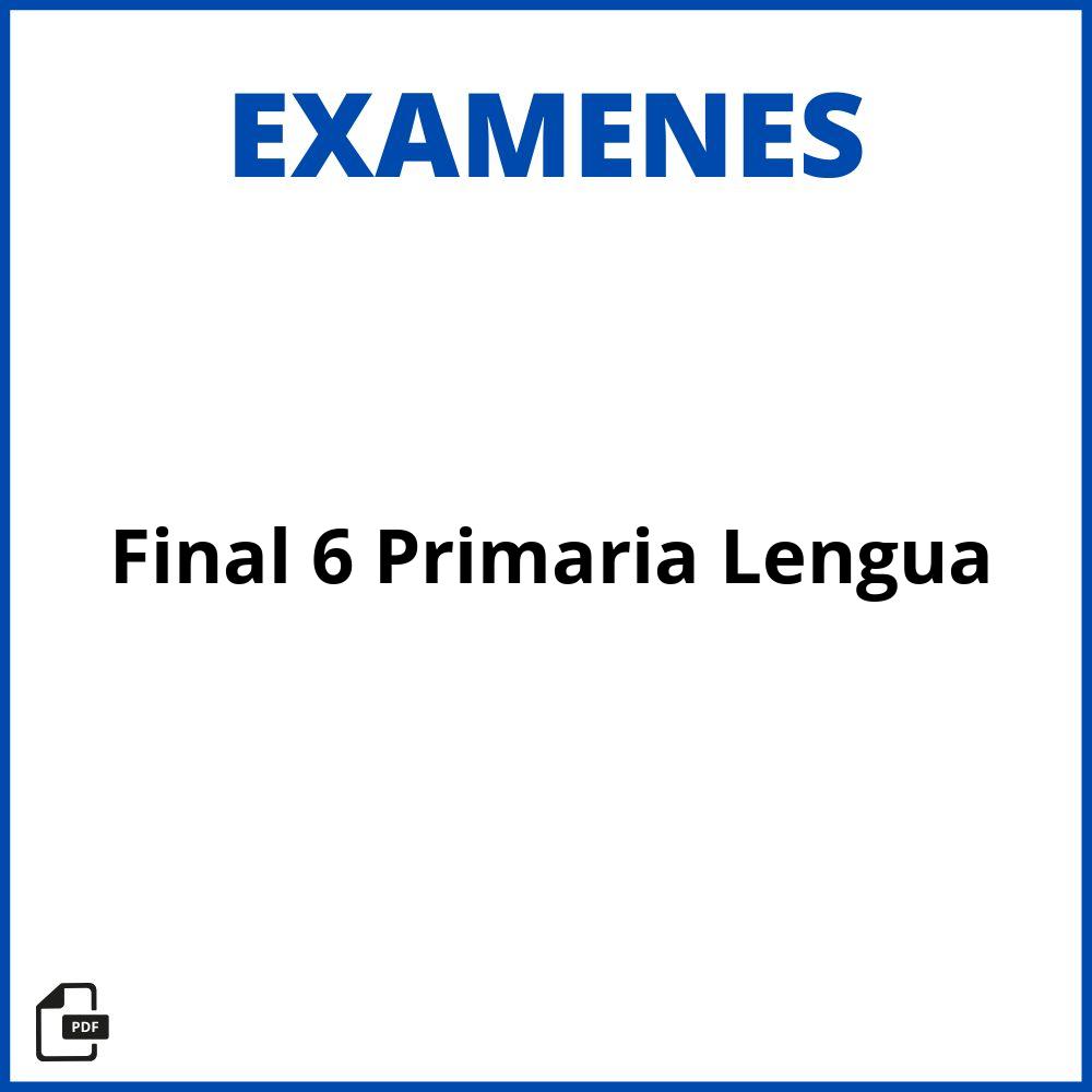 Examen Final 6 Primaria Lengua